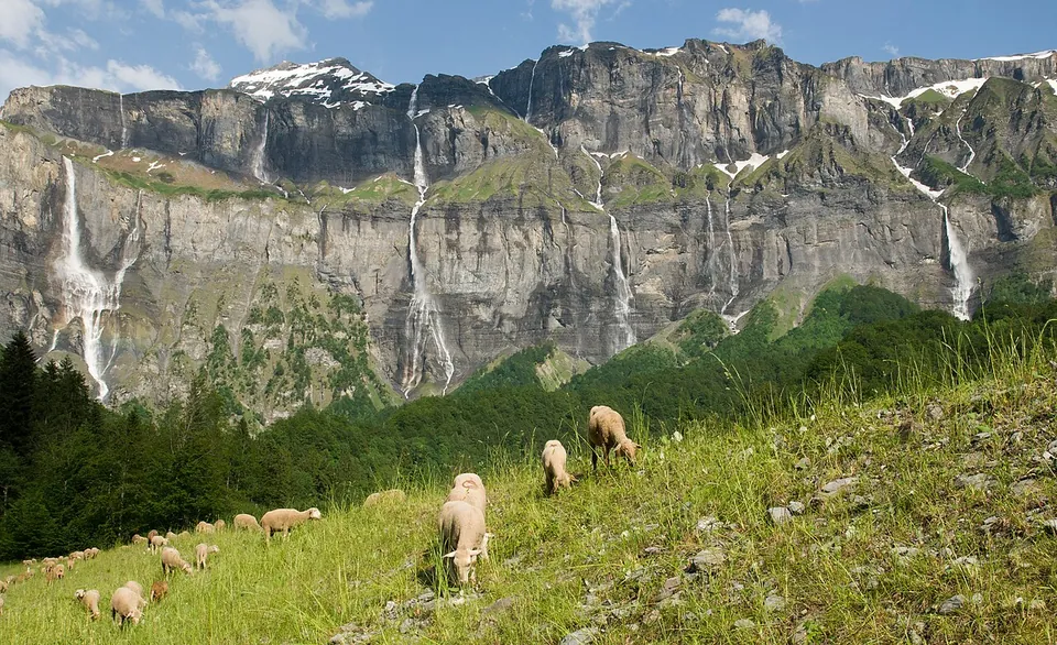 Le Cirque du Fer-à-Cheval: a waterfall