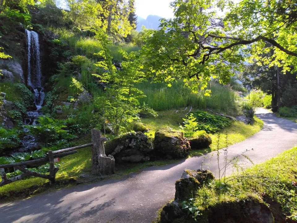 Jardin botanique alpin La Jaÿsinia: the trail