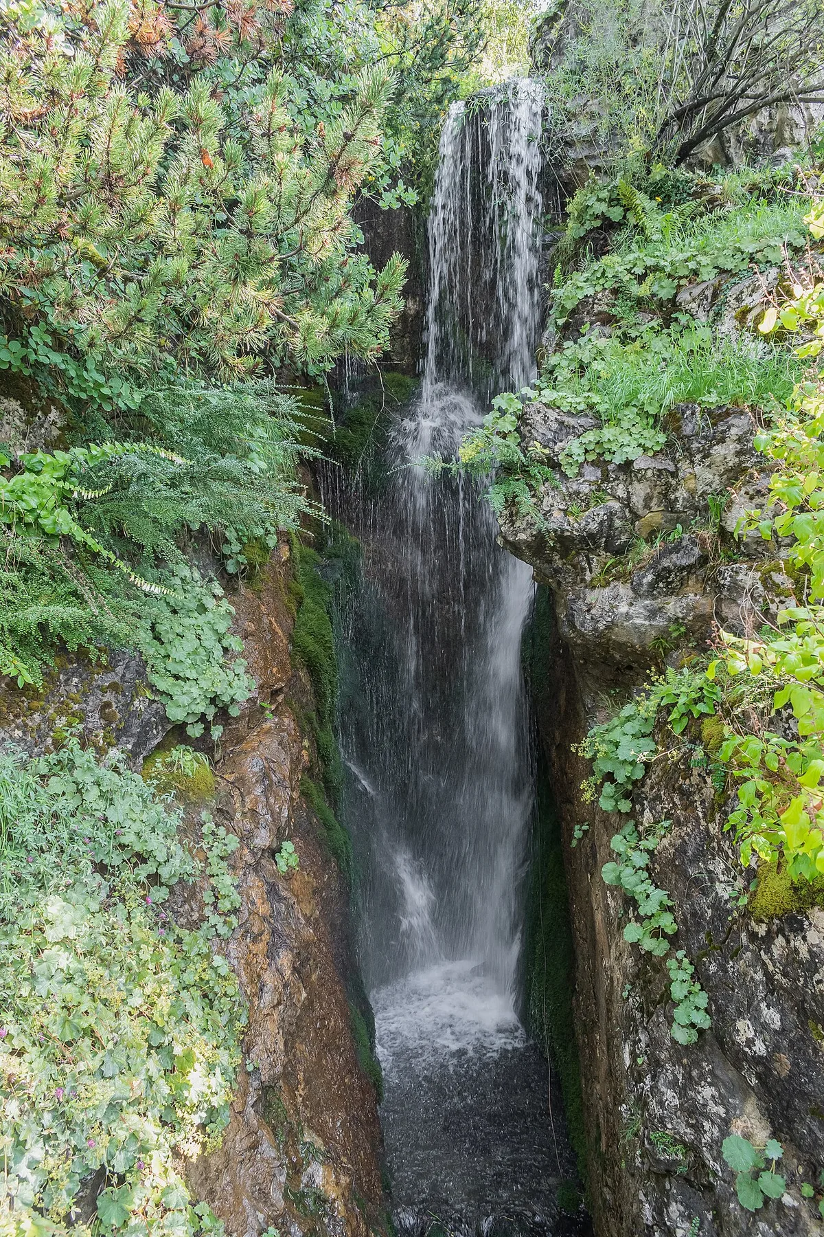 A view in La Jaÿsinia botanical garden