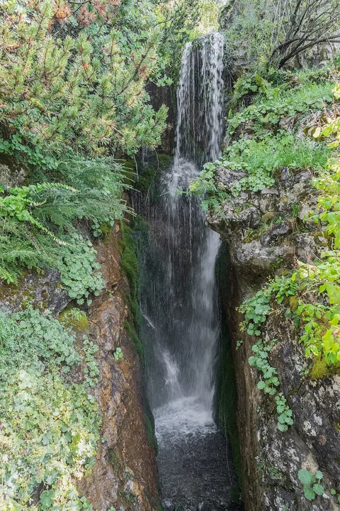 A view in La Jaÿsinia botanical garden